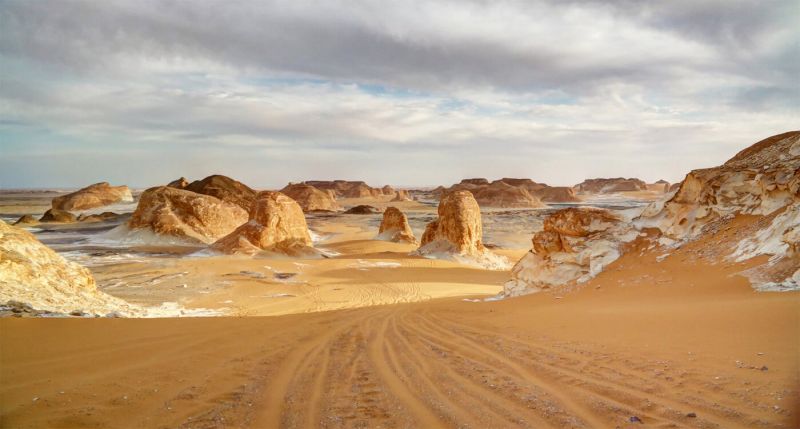 The Western Desert and Oasis